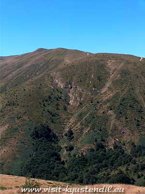 Туризъм в Осогово през лятото