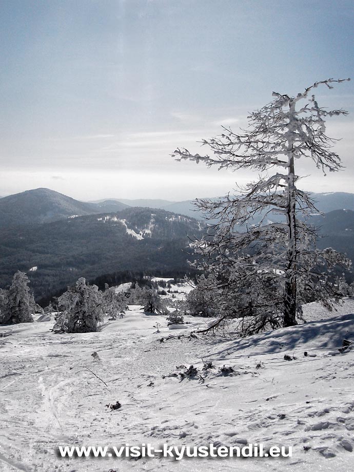 Туризъм в планина Осогово